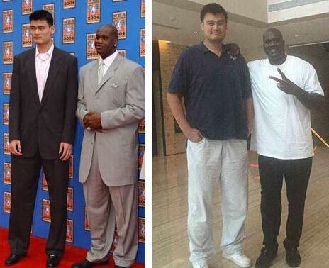 猫区的水友喜欢詹姆斯的多还是喜欢库里的多？10亮23回复